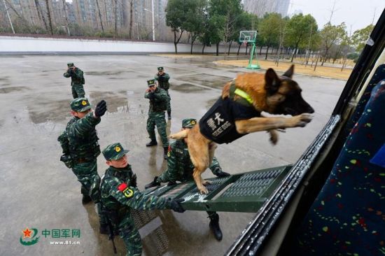 安徽武警備戰(zhàn)春運出動無人機(jī) 警犬搶鏡