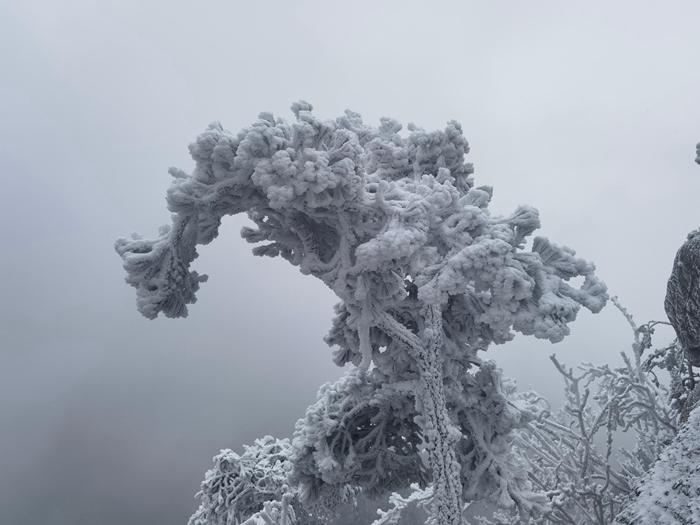 河南南陽(yáng)老界嶺現(xiàn)霧凇景觀(guān)